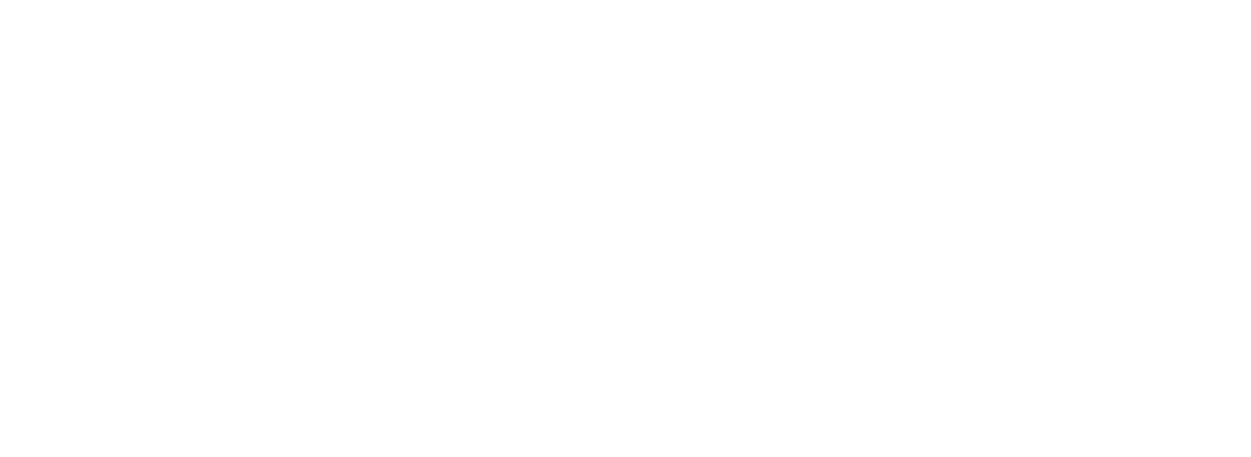 eLusefor logo